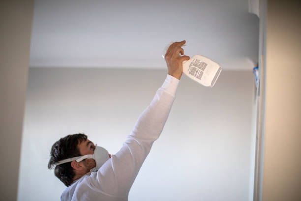 Best Health and Safety Mold Remediation in Lansing, IL